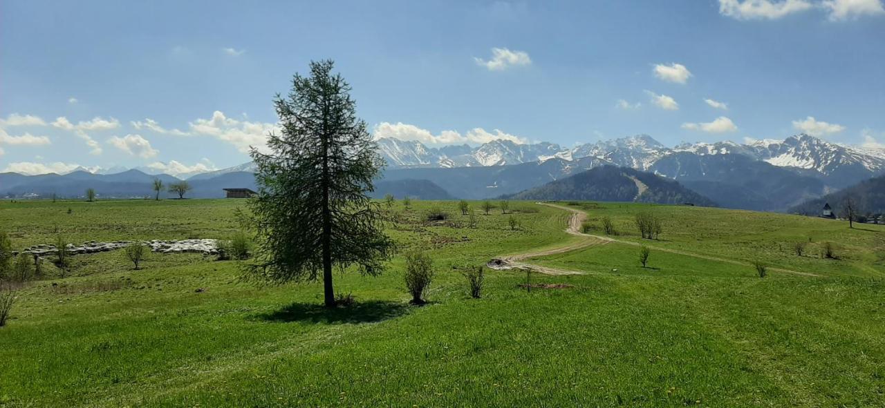 Pokoje Goscinne Przeklasa Pawel Zakopane Exteriér fotografie