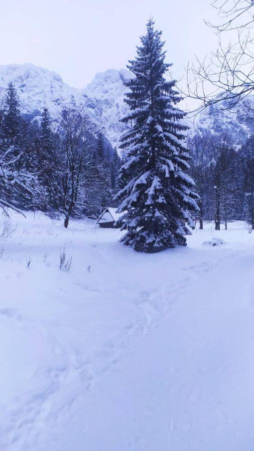 Pokoje Goscinne Przeklasa Pawel Zakopane Exteriér fotografie