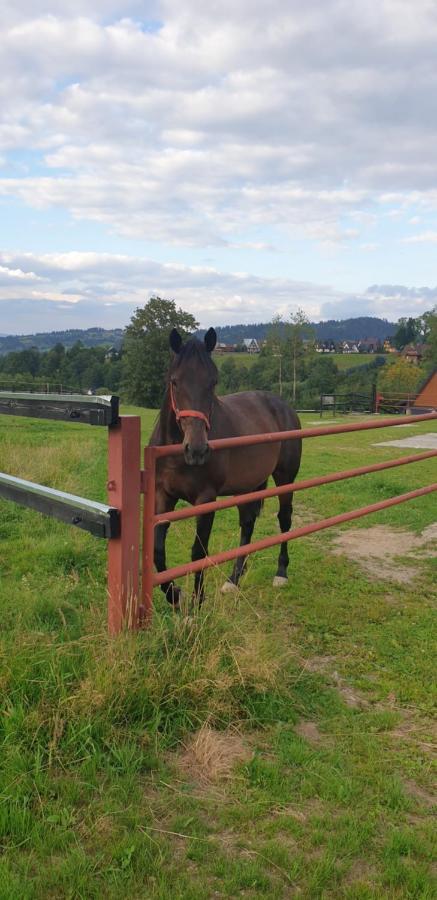 Pokoje Goscinne Przeklasa Pawel Zakopane Exteriér fotografie